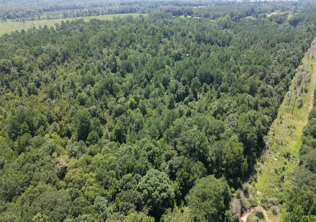 Land for sale at Tbd County Road 2920, Hughes Springs, TX 75656 | MLS# 21142080