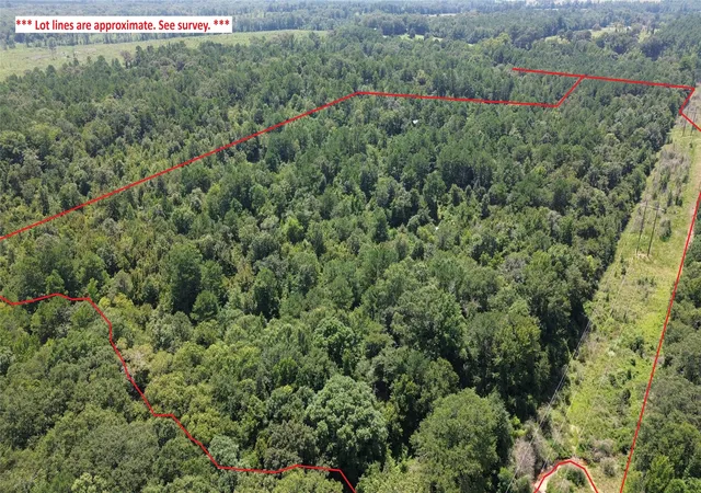 Photo 2 of Land for sale at Tbd County Road 2920, Hughes Springs, TX 75656 | MLS# 21142080 | Listing updated on 2026-07-27