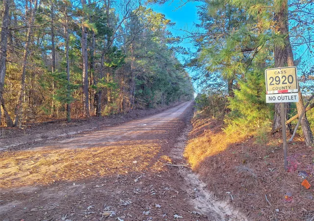 Homes for sale in Hughes Springs, TX | Tbd County Road 2920, Hughes Springs, TX 75656 | MLS# 21142080
