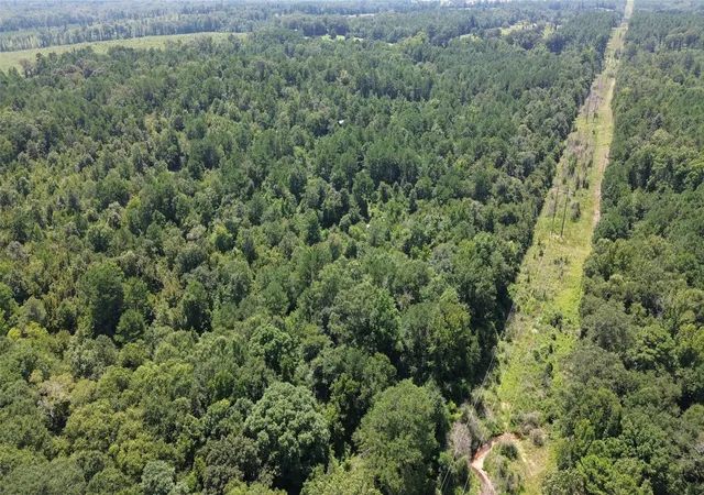 Photo 3 of Land for sale at Tbd County Road 2920, Hughes Springs, TX 75656 | MLS# 21142080 | Listing updated on 2026-07-27