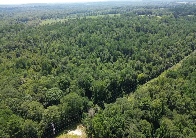 Photo 3 of Land for sale at Tbd County Road 2920, Hughes Springs, TX 75656 | MLS# 21142080 | Listing updated on 2026-07-27