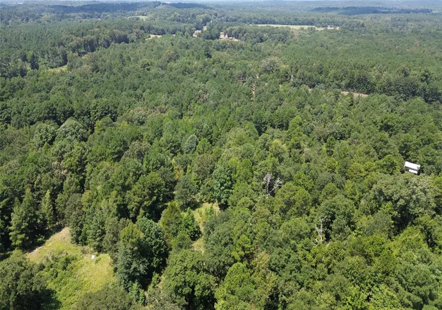 Photo 4 of Land for sale at Tbd County Road 2920, Hughes Springs, TX 75656 | MLS# 21142080 | Listing updated on 2026-07-27