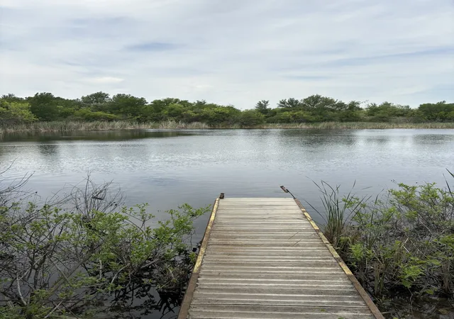 Photo 1 of Land for sale at Tbd Causeway Rd, Jacksboro, TX 76458 | MLS# 21144241 | Listing updated on 2026-07-10