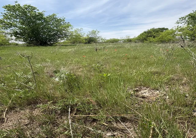 Photo 3 of Land for sale at Tbd Causeway Rd, Jacksboro, TX 76458 | MLS# 21144241 | Listing updated on 2026-07-10