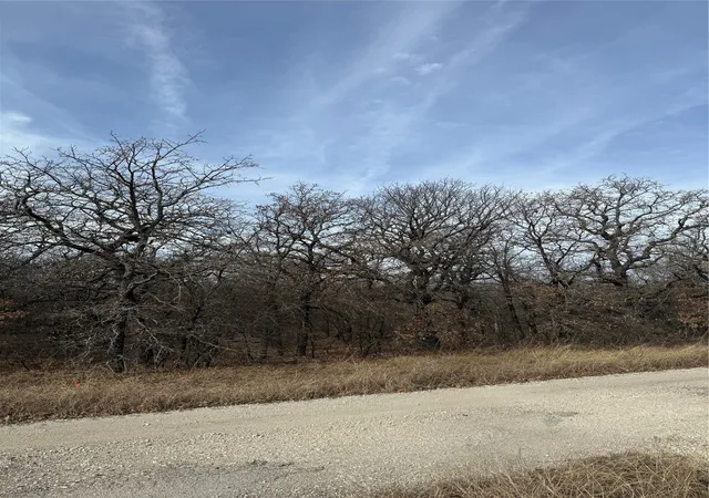 Photo 3 of Land for sale at 0 Lindsey Ln, Bridgeport, TX 76426 | MLS# 21144519 | Listing updated on 2026-08-18