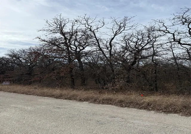 Photo 3 of Land for sale at 0 Lindsey Ln, Bridgeport, TX 76426 | MLS# 21144519 | Listing updated on 2026-08-18