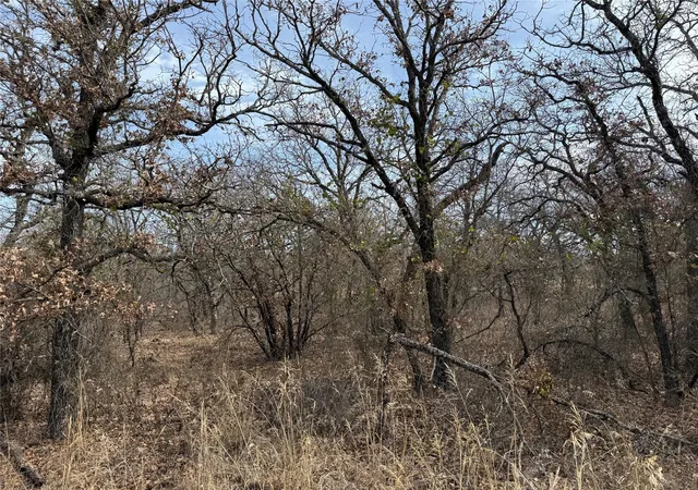 Photo 4 of Land for sale at 0 Lindsey Ln, Bridgeport, TX 76426 | MLS# 21144519 | Listing updated on 2026-08-18