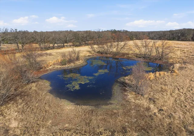 Photo 3 of Land for sale at Tbd Lot 1 County Road 349, Terrell, TX 75161 | MLS# 21143191 | Listing updated on 2026-07-28
