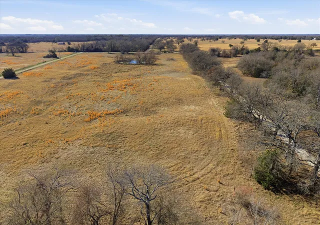 Photo 3 of Land for sale at Tbd Lot 1 County Road 349, Terrell, TX 75161 | MLS# 21143191 | Listing updated on 2026-07-28