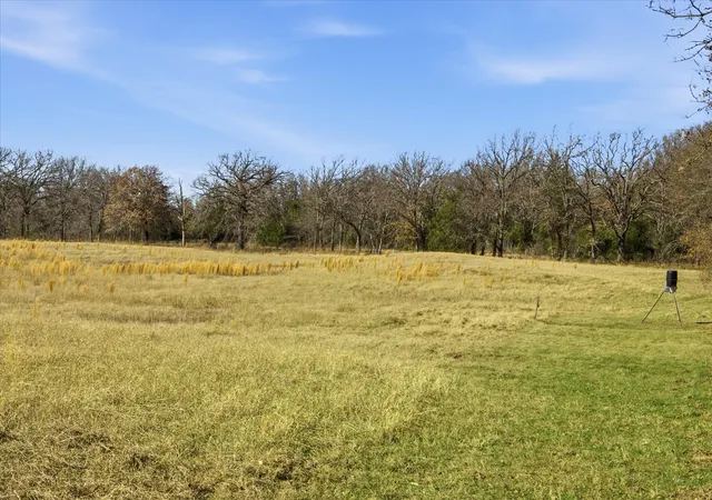Photo 2 of Land for sale at Tbd Lot 2 Countty Road 349, Terrell, TX 75161 | MLS# 21143203 | Listing updated on 2026-07-28