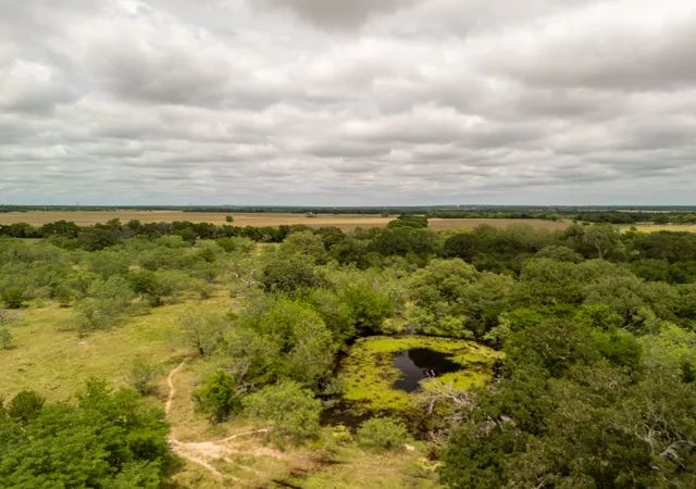 Photo 3 of Land for sale at Tract 6 Countyroad 178, Riesel, TX 76682 | MLS# 21144959 | Listing updated on 2026-07-13