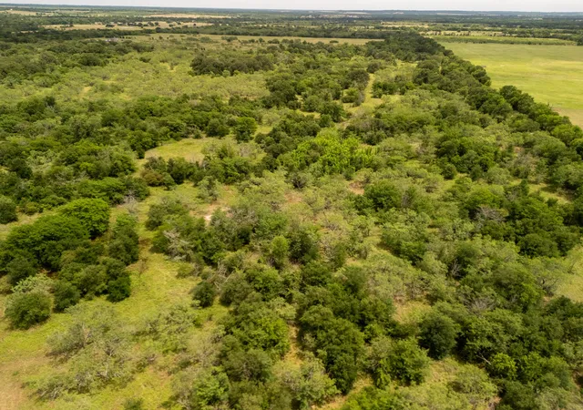 Photo 3 of Land for sale at Tract 6 Countyroad 178, Riesel, TX 76682 | MLS# 21144959 | Listing updated on 2026-07-13