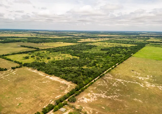 Homes for sale in Riesel, TX | Tract 5 Countyroad 178, Riesel, TX 76682 | MLS# 21144980