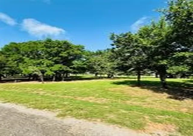 Photo 3 of Land for sale at 14004 Sandy Oaks Dr, Whitney, TX 76692 | MLS# 21144943 | Listing updated on 2026-07-28