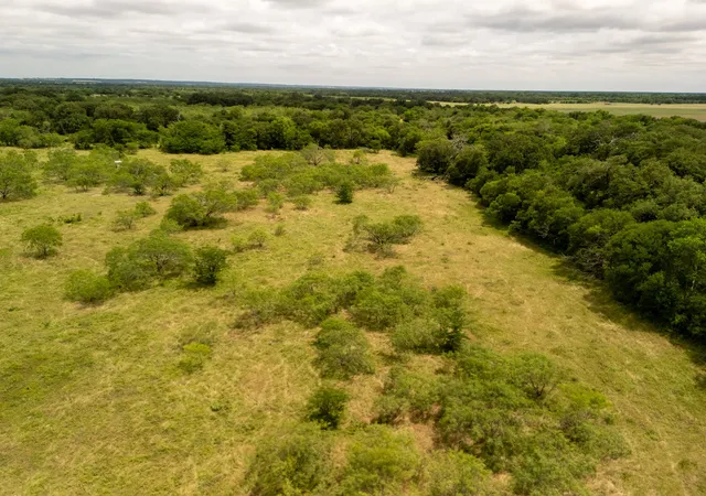 Homes for sale in Riesel, TX | Tract 3 Countyroad 178, Riesel, TX 76682 | MLS# 21145013
