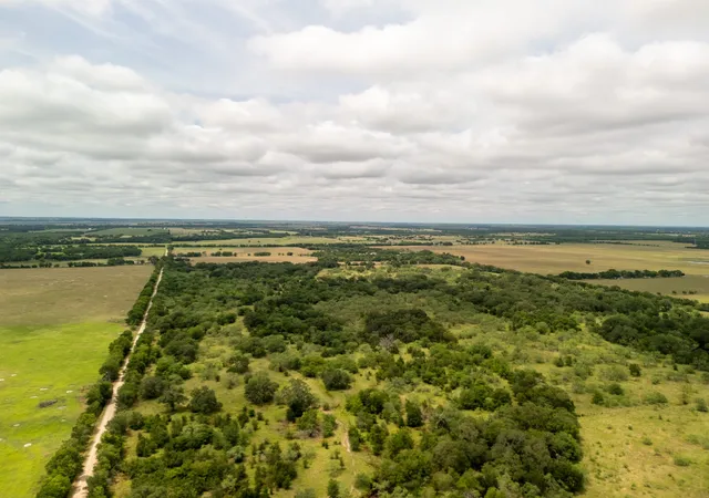 Homes for sale in Riesel, TX | Tract 2 Countyroad 178, Riesel, TX 76682 | MLS# 21145022