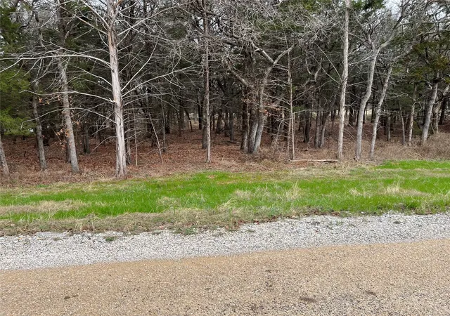 Homes for sale in Decatur, TX | Lot 19 Cedar Springs Dr, Decatur, TX 76234 | MLS# 21145813