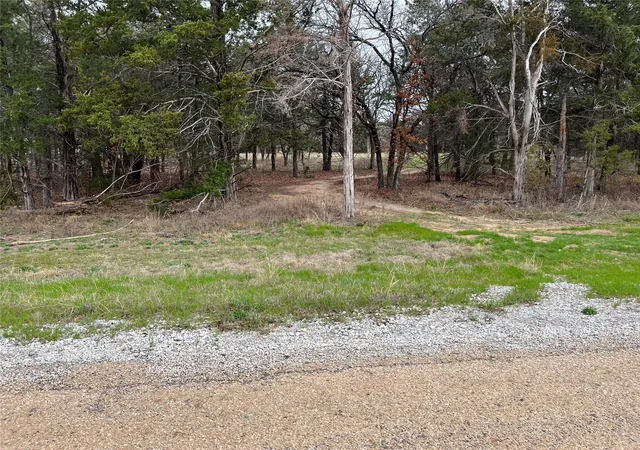 Homes for sale in Decatur, TX | Lot 19 Cedar Springs Dr, Decatur, TX 76234 | MLS# 21145813