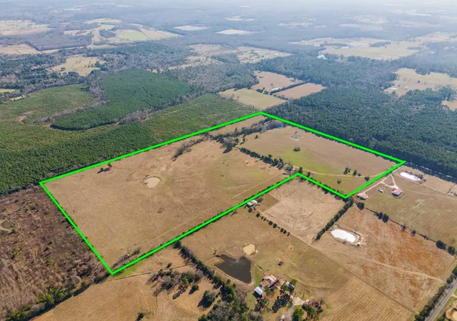 Photo 3 of Land for sale at 255 Cr 4645, Winnsboro, TX 75494 | MLS# 21145874 | Listing updated on 2026-07-24