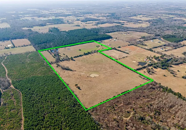 Photo 4 of House for sale at 255 Cr 4645, Winnsboro, TX 75494 | MLS# 21145874 | Listing updated on 2026-07-24