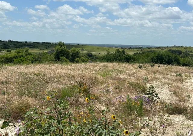 Photo 4 of Land for sale at 2521 Tom Chaney Dr #104, Cresson, TX 76035 | MLS# 21145964 | Listing updated on 2026-07-25