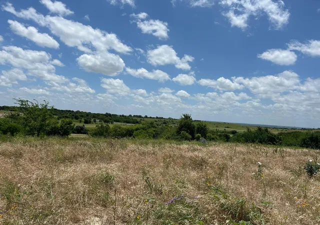 Homes for sale in Cresson, TX | 2517 Tom Chaney Dr #103, Cresson, TX 76035 | MLS# 21145991