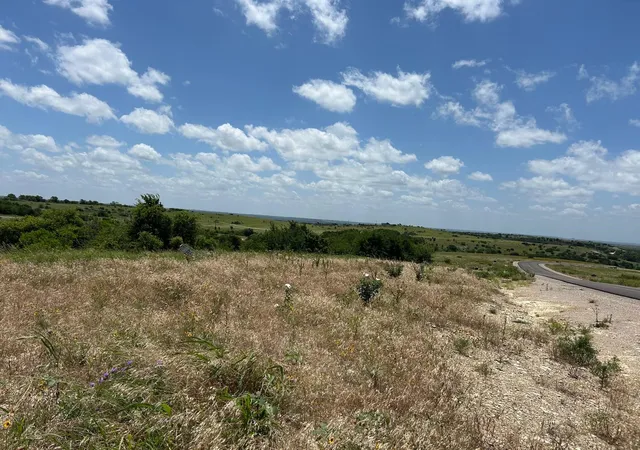 Homes for sale in Cresson, TX | 2517 Tom Chaney Dr #103, Cresson, TX 76035 | MLS# 21145991