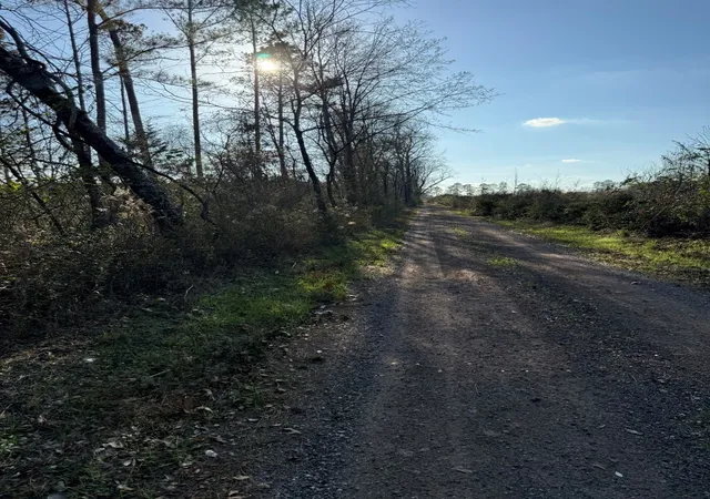 Homes for sale in Beckville, TX | Tbd A County Road 216, Beckville, TX 75631 | MLS# 21145121