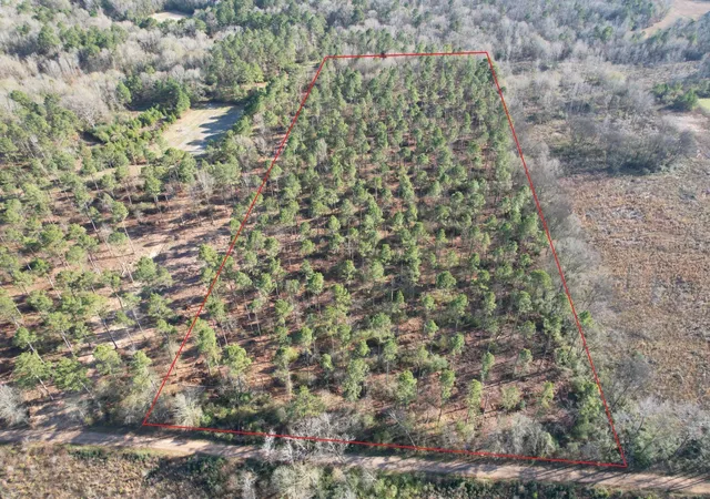 Homes for sale in Beckville, TX | Tbd A County Road 216, Beckville, TX 75631 | MLS# 21145121