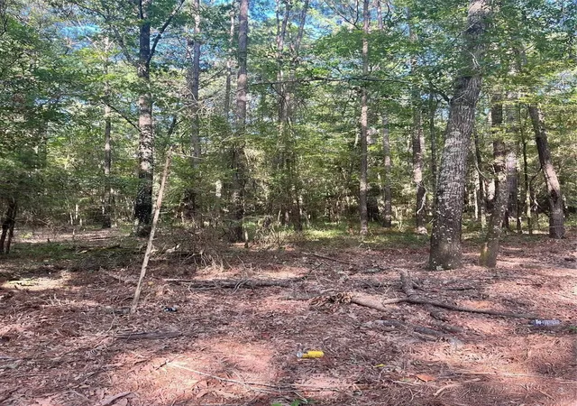 Photo 3 of Land for sale at 0 Friendship, Frierson, LA 71027 | MLS# 21146794 | Listing updated on 2026-07-06