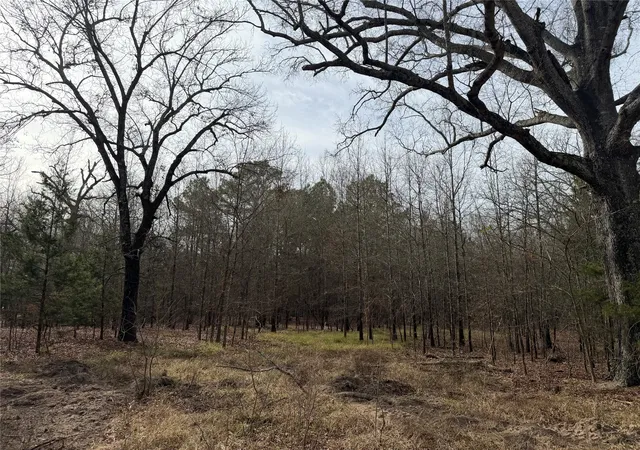 Homes for sale in Clarksville, TX | Tbd Hwy 37, Clarksville, TX 75426 | MLS# 21147576