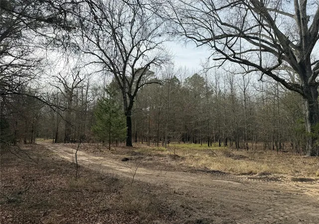 Homes for sale in Clarksville, TX | Tbd Hwy 37, Clarksville, TX 75426 | MLS# 21147576