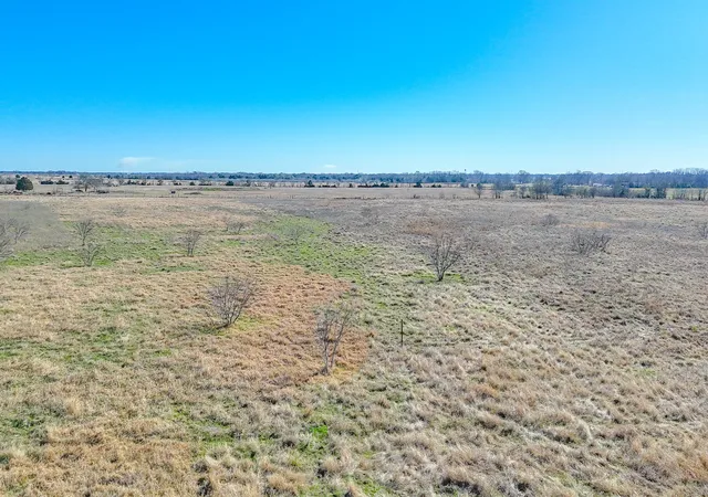 Photo 2 of Land for sale at Lot 3 Ne Cr 2160, Kerens, TX 75144 | MLS# 21149874 | Listing updated on 2026-08-21