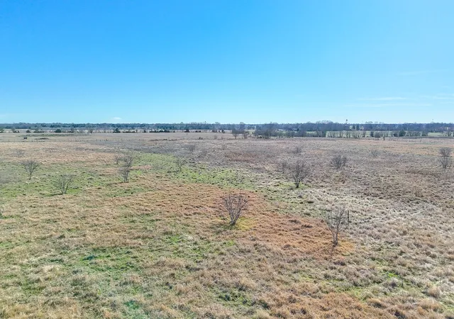 Photo 2 of Land for sale at Lot 4 Ne Cr 2160, Kerens, TX 75144 | MLS# 21149883 | Listing updated on 2026-08-21