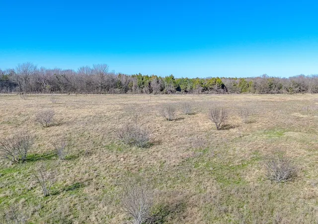 Photo 2 of Land for sale at Lot 5 Ne Cr 2160, Kerens, TX 75144 | MLS# 21149893 | Listing updated on 2026-08-21
