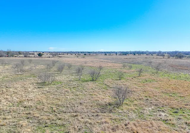 Photo 3 of Land for sale at Lot 5 Ne Cr 2160, Kerens, TX 75144 | MLS# 21149893 | Listing updated on 2026-08-21