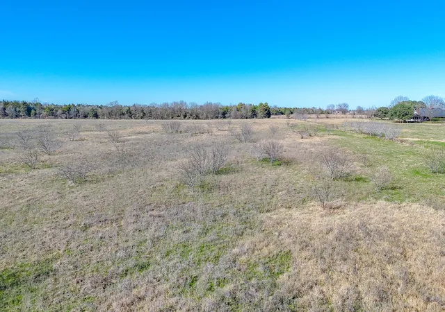 Photo 2 of Land for sale at Lot 8 Ne Cr 2160, Kerens, TX 75144 | MLS# 21149927 | Listing updated on 2026-08-21