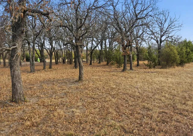 Homes for sale in Perrin, TX | Tbd Dps Tower, Perrin, TX 76486 | MLS# 21149941