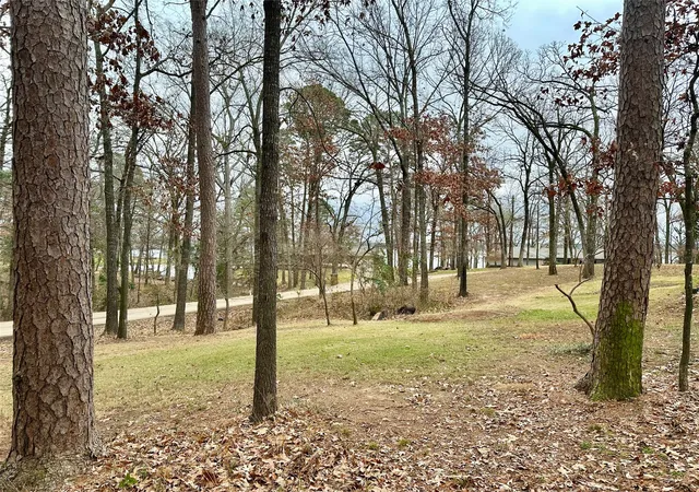 Homes for sale in Pittsburg, TX | N/a Lot 59 County Road 2938, Pittsburg, TX 75686 | MLS# 21148292