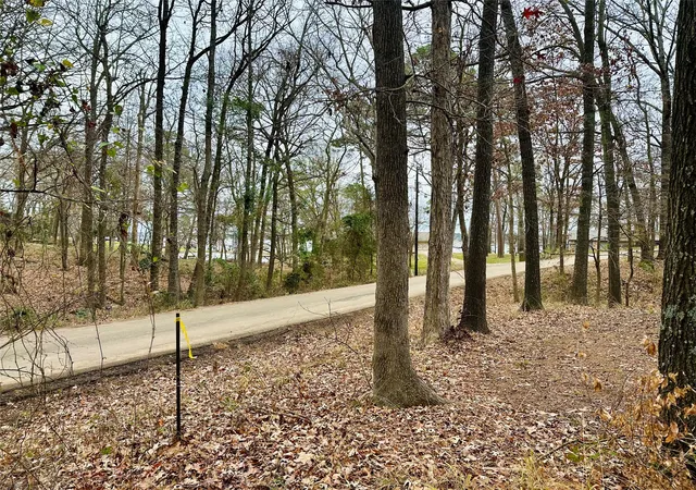 Homes for sale in Pittsburg, TX | N/a Lot 59 County Road 2938, Pittsburg, TX 75686 | MLS# 21148292