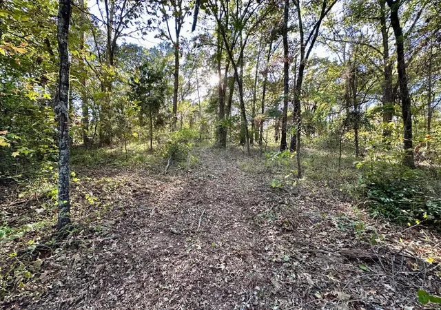 Homes for sale in Pittsburg, TX | N/A Lot 59 County Road 2938, Pittsburg, TX 75686 | MLS# 21148292