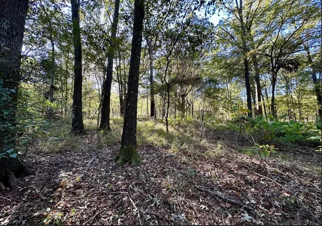 Homes for sale in Pittsburg, TX | N/A Lot 59 County Road 2938, Pittsburg, TX 75686 | MLS# 21148292
