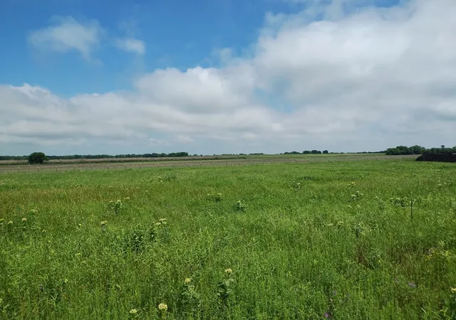 Homes for sale in Cooper, TX | 4225 County Road, Cooper, TX 75432 | MLS# 21150788