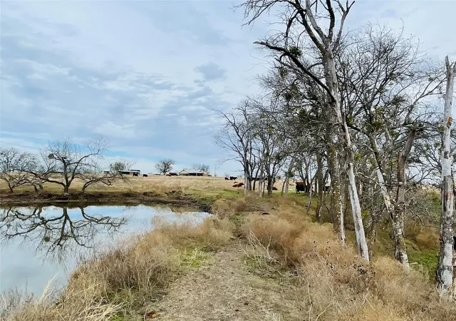Photo 3 of Land for sale at 21517 Sw County Road 4040, Dawson, TX 76639 | MLS# 21150570 | Listing updated on 2026-08-31