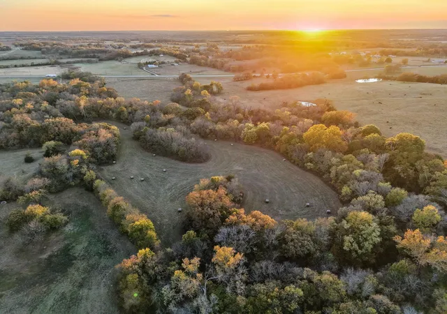 Photo 3 of Land for sale at Tbd Dugan Chapel, Bells, TX 75414 | MLS# 21146943 | Listing updated on 2026-09-18