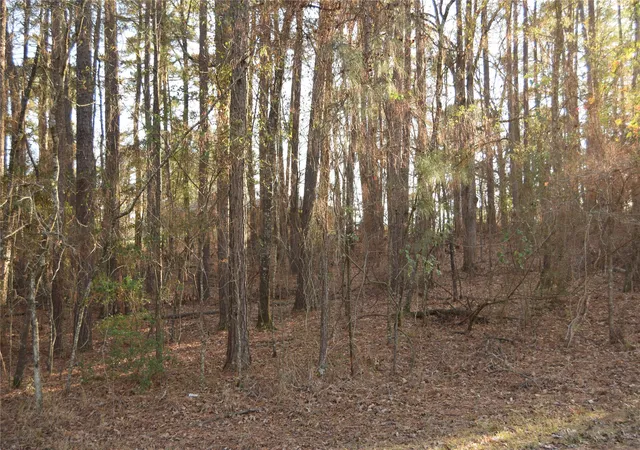 Photo 3 of Land for sale at Lot #41 Timberlane Dr, Minden, LA 71055 | MLS# 21152128 | Listing updated on 2026-08-03