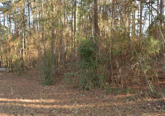 Photo 3 of Land for sale at Lot #41 Timberlane Dr, Minden, LA 71055 | MLS# 21152128 | Listing updated on 2026-08-03