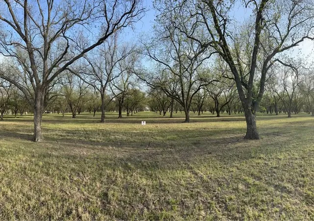 Homes for sale in De Leon, TX | Tbd County Road 461, De Leon, TX 76444 | MLS# 21152732