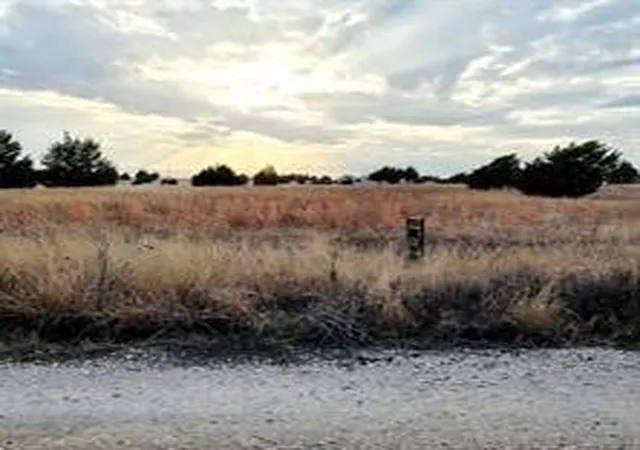 Photo 2 of Land for sale at Tbd Nw County Road 1140, Corsicana, TX 75110 | MLS# 21153878 | Listing updated on 2026-08-31
