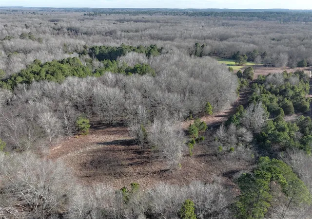 Photo 3 of Land for sale at Tbd County Road 3170, Quitman, TX 75783 | MLS# 21149889 | Listing updated on 2026-07-28